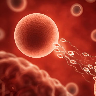 Heart Rhythm Disorder